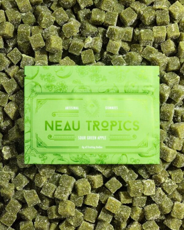 Neau Tropics Mushroom Bars, Neau Tropics mushroom Chocolate available in stock, Happy Bars 920 bars, Mycrochips, Deja Vu Dream Bars for sale